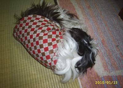 s-201001151.jpg