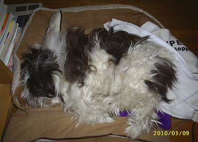 s-201003091.jpg