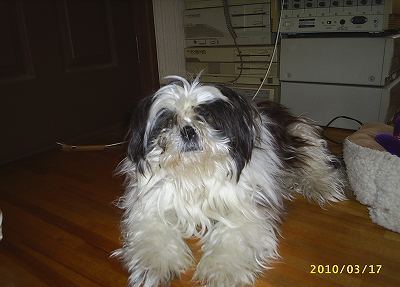 s-201003172.jpg