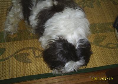s-201105191.jpg