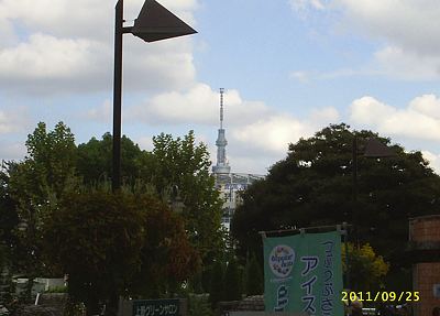 s-20110924-27002.jpg