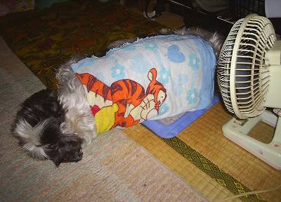 s-201207161.jpg