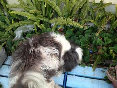 201212131-s.jpg