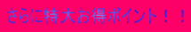 さらに特大お得ポイント!!