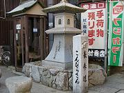 �Q���ɓ���