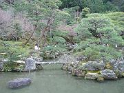 ���䂩��̒���