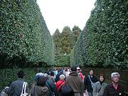 ��t���ւ̕�