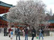 �����_�{�E�߂̍�