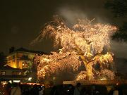 �_���}����