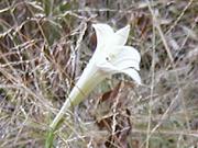 �^�J�T�S����