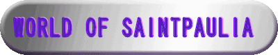 WORLD OF SAINTPAULIA 