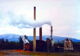 パッカード製材所