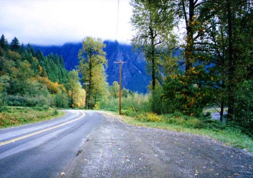 �c�C���s�[�N�X�����Q