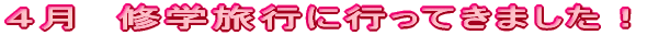 �T���@�C�w���s�ɍs���Ă��܂����I